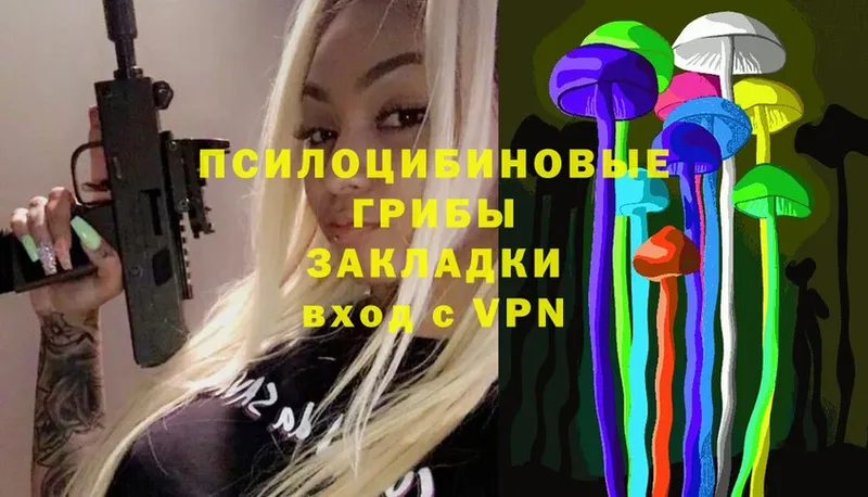 Галлюциногенные грибы Psilocybe  сколько стоит  Новосибирск 